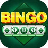 Bingo 101 App